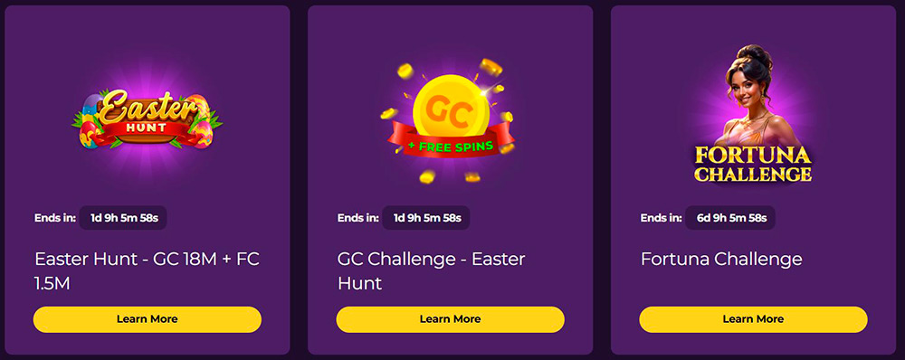 fortune-coins-bonus